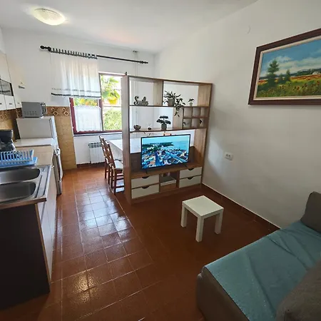 Apartmán Mihaela *